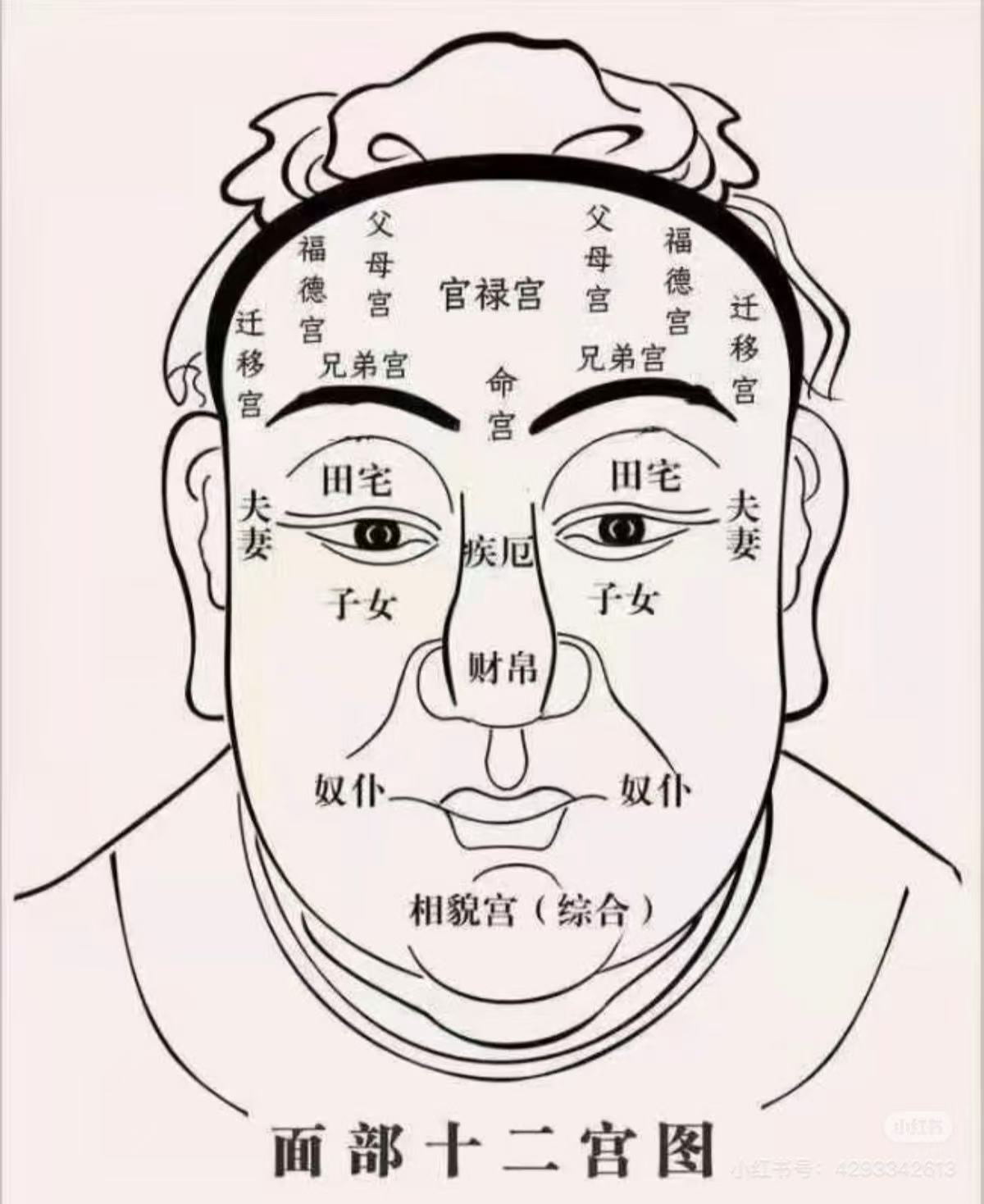 面部十二宫图